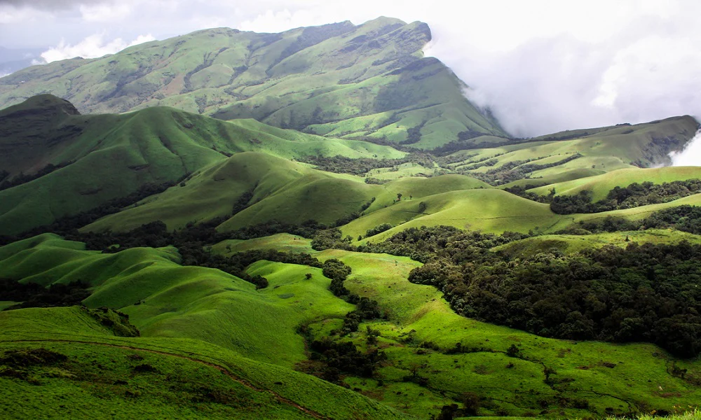 Trekking Through the Lush Wilderness: Exploring the Western Ghats of Karnataka